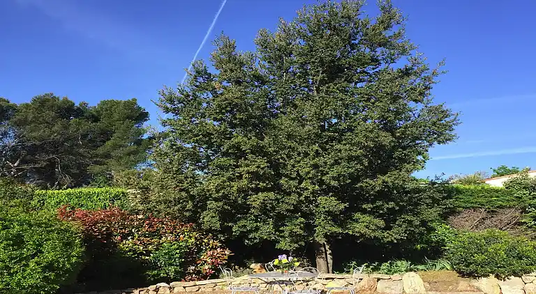 Feriebolig i Flayosc