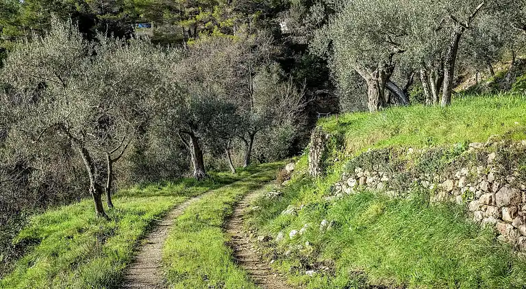 Villa in Figanières