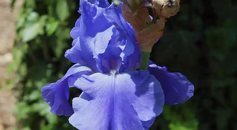 Villa in Figanières