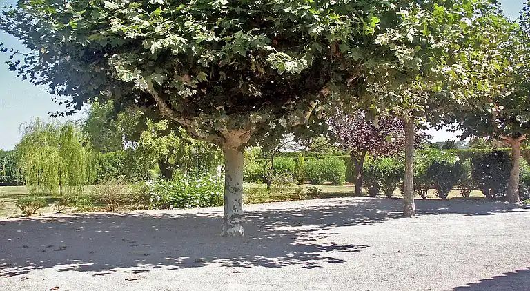 Villa i Saint-Tropez