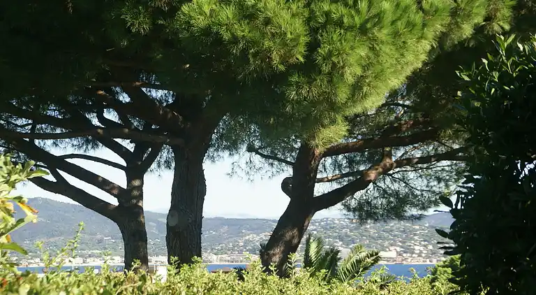 Semesterbostad i Saint-Tropez