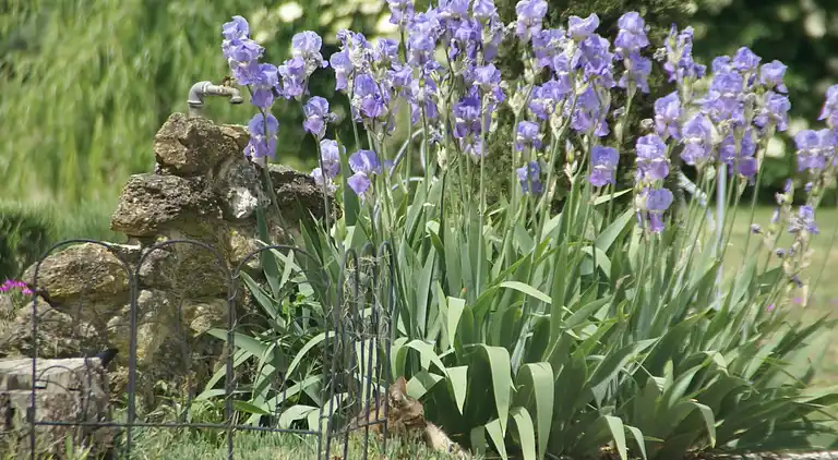 Ferienhaus in Pertuis