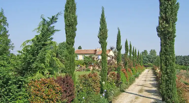 Farm house in Carpentras