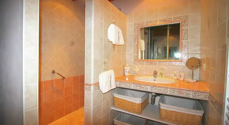 Farm house in Carpentras