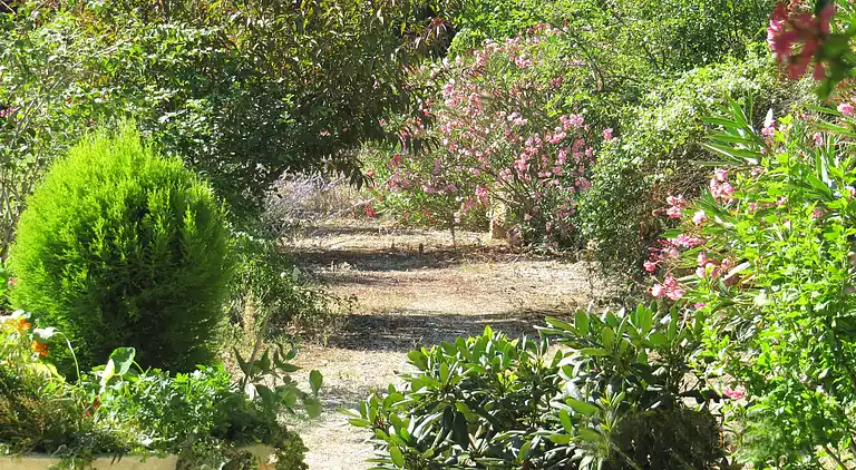 Farm house in Carpentras