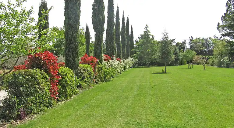 Farm house in Carpentras