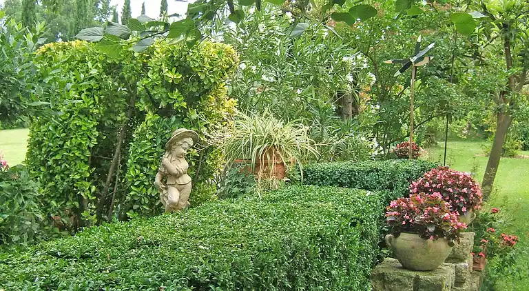 Farm house in Carpentras