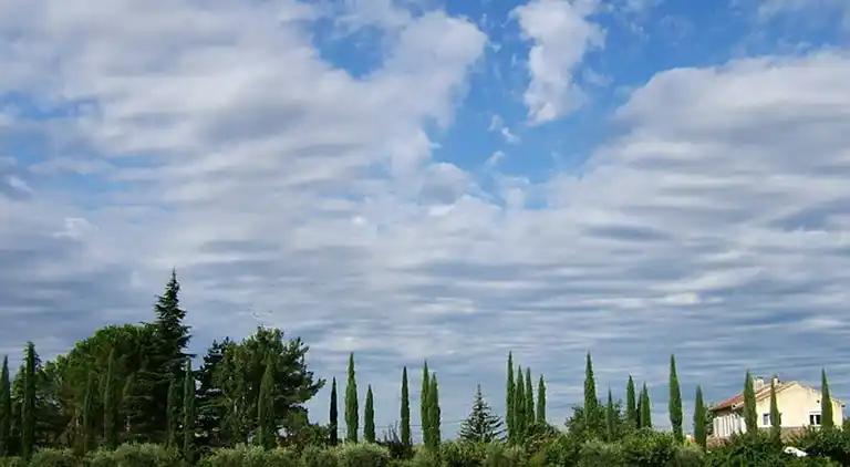 Farm house in Carpentras