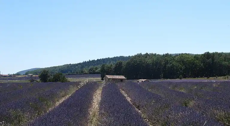 Farm house in Carpentras