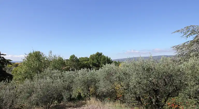 Holiday home in Gordes