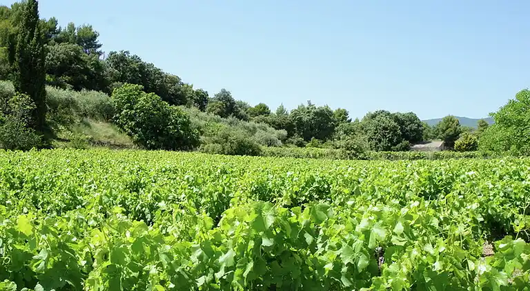 Holiday home in La Tour-d'Aigues