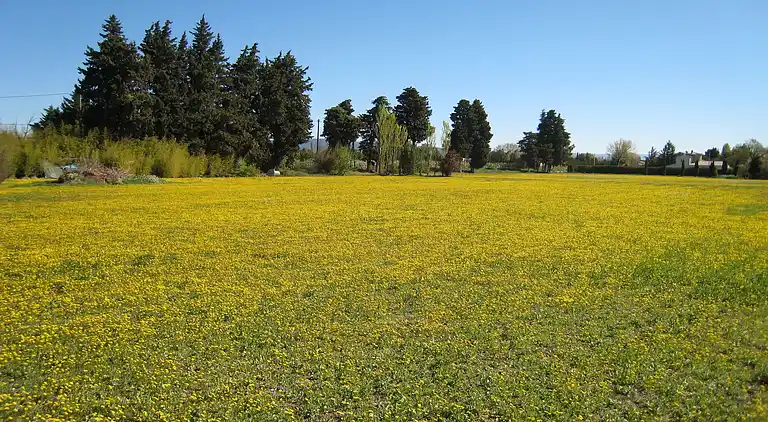 Sommerhus i Cavaillon