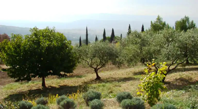 Sommerhus i Saint-Saturnin-lès-Apt
