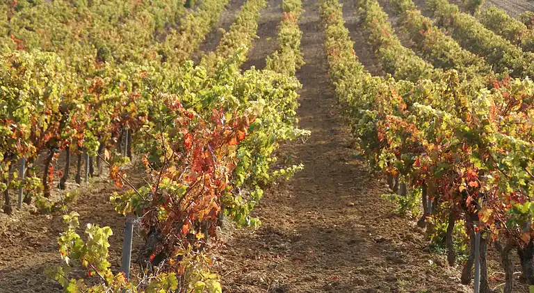 Herregård i Grillon