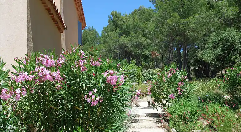 Villa in Saumane-de-Vaucluse