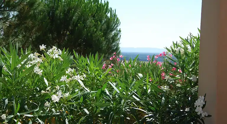 Villa in Saumane-de-Vaucluse