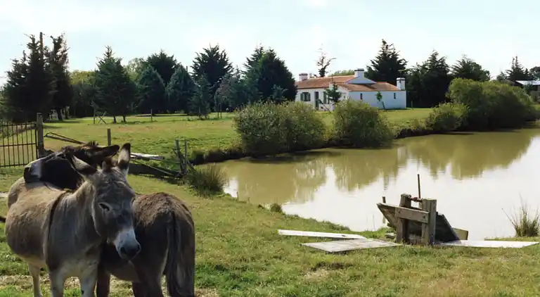 Holiday home in La Garnache