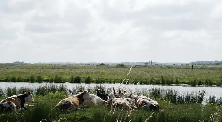Holiday home in La Garnache
