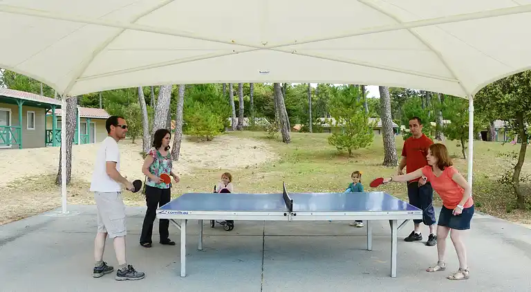 Hytte i Notre-Dame-de-Riez