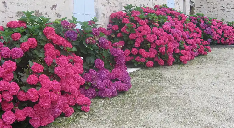 Holiday home in Cezais