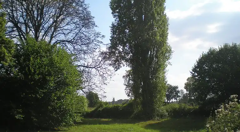 Casa de vacaciones en Thuré