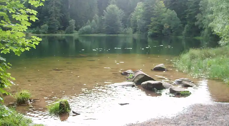 Holiday home in Raon-l'Étape