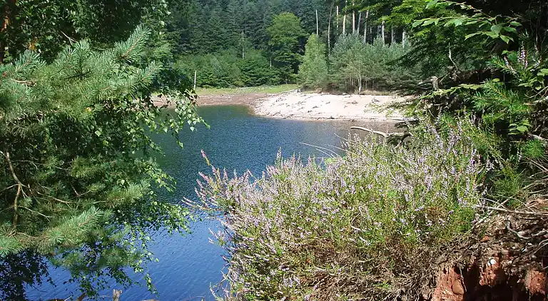 Holiday home in Raon-l'Étape