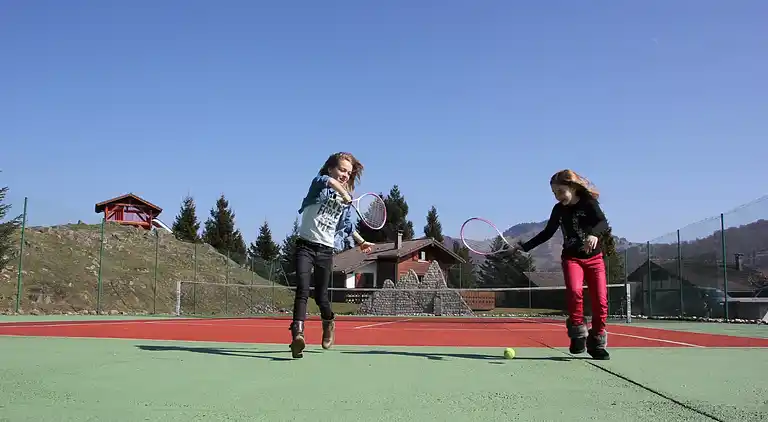 Cottage in Le Thillot