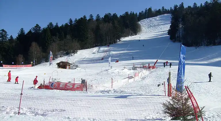 Cottage in Le Thillot