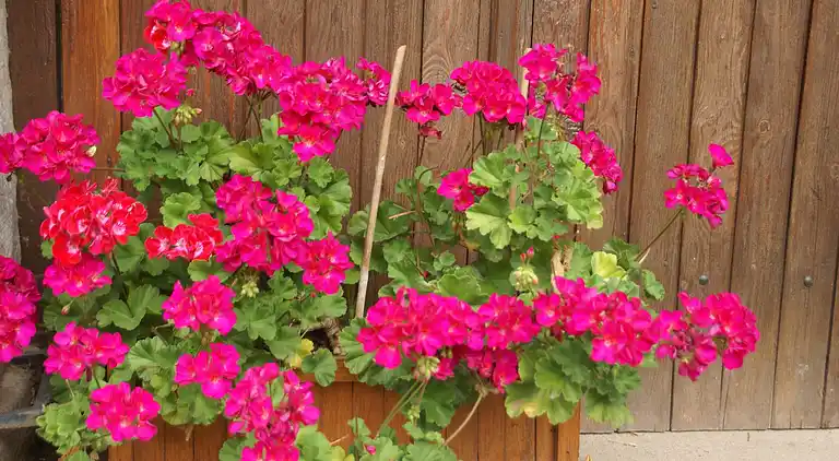 Holiday home in La Haye