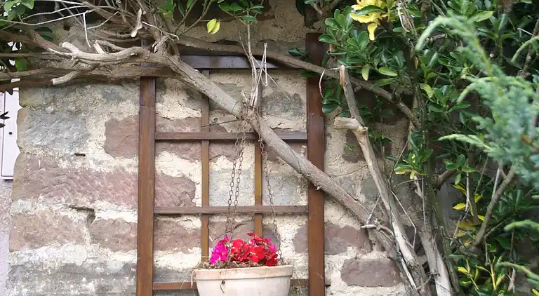 Holiday home in La Haye