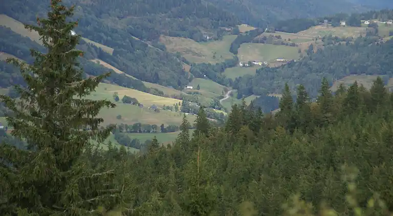 Cottage in La Bresse