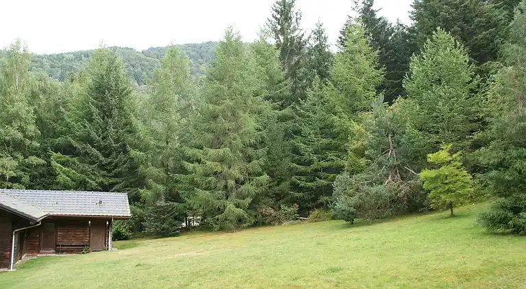 Landhaus in La Bresse