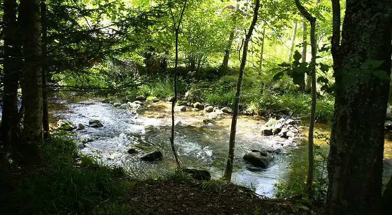 Cortijo en La Bresse