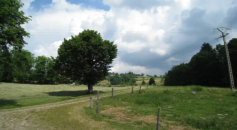 Cottage in Saulxures-sur-Moselotte