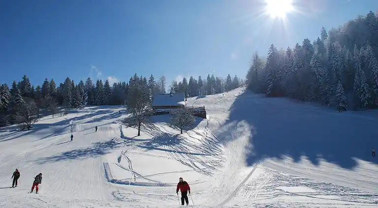 Sommerhus i Saulxures-sur-Moselotte