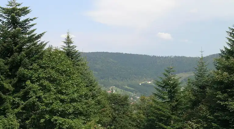 Cottage in Cornimont