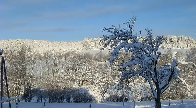 Casa vacanze in Le Val-d'Ajol