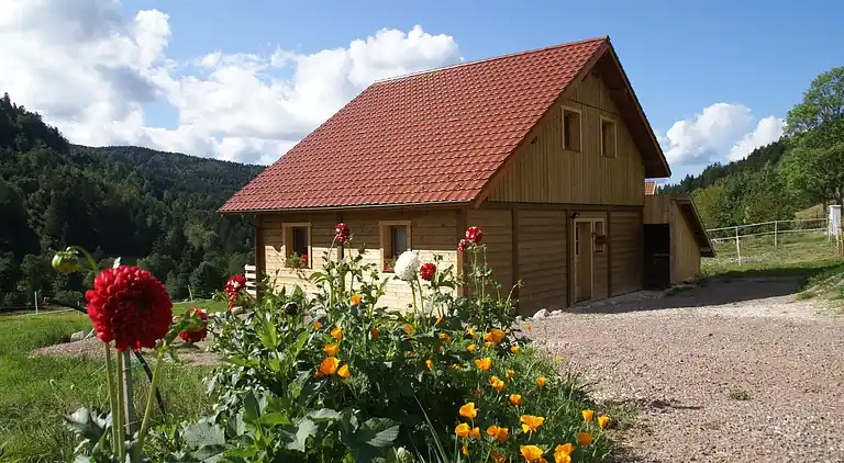 Cottage in Gérardmer