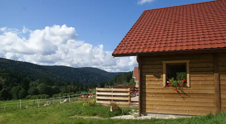 Cottage in Gérardmer