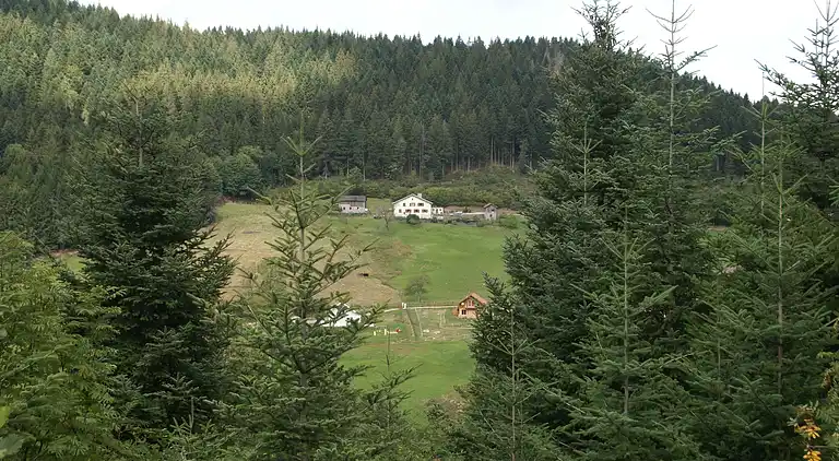 Cottage in Gérardmer