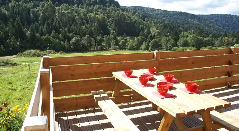 Cottage in Gérardmer