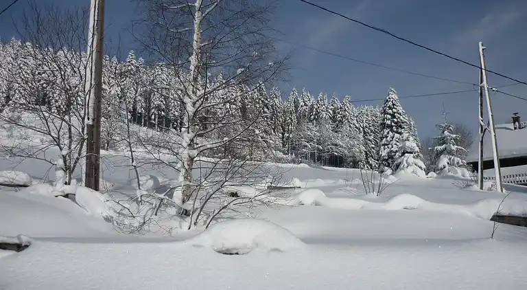 Cottage in Gérardmer
