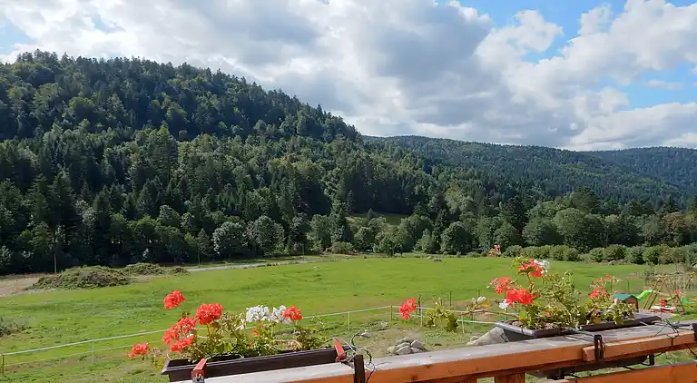 Cottage in Gérardmer