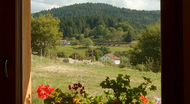 Cottage in Gérardmer