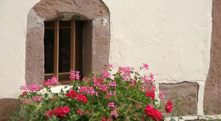 Holiday home in Bruyères