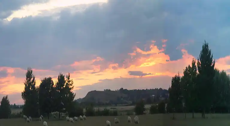 Hytte i Saint Mary in the Marsh