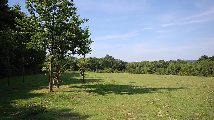 Semesterbostad i Rolvenden