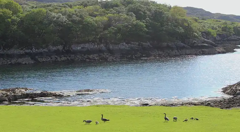 Sommerhus i Strathan