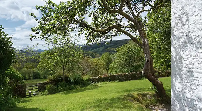 Sommerhus i Rhandirmwyn